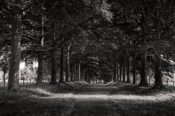 Oprijlaan Kasteel Eijsden