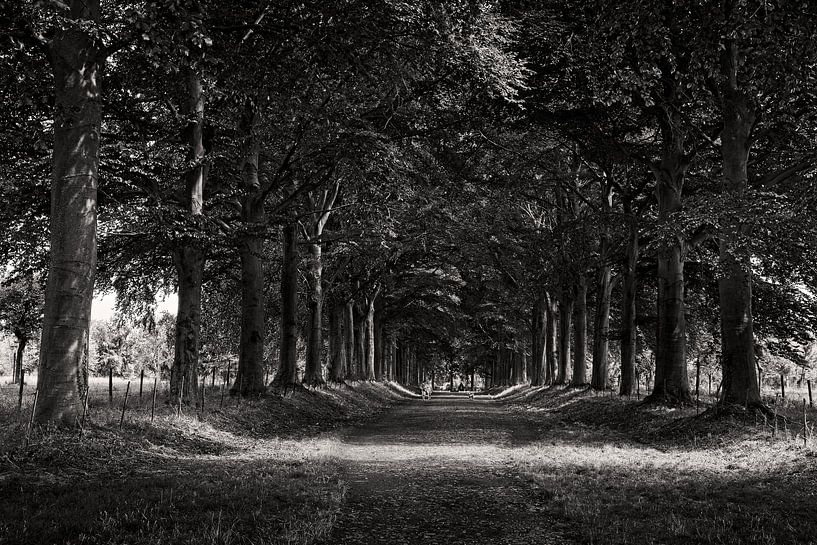 Oprijlaan Kasteel Eijsden van Rob Boon
