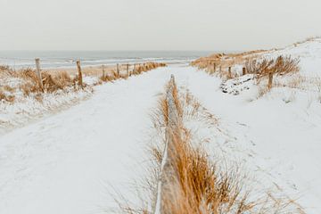 Pad door de winterduinen naar het strand van Noordwijk van Yanuschka Fotografie | Noordwijk