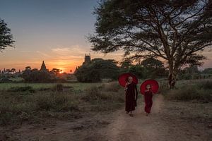 Sur la route après le coucher du soleil à Bagan, Myanmar