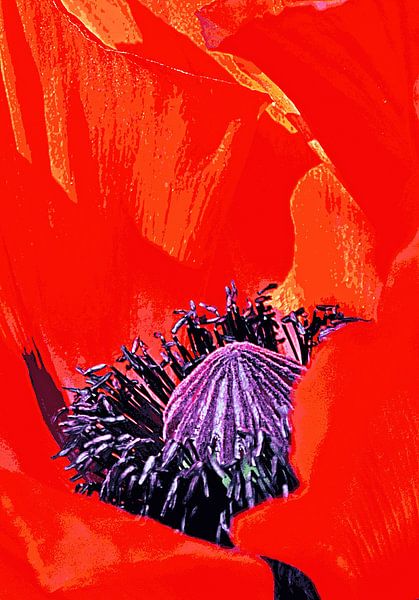 une fleur de coquelicot rouge mixed media par Werner Lehmann