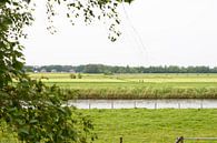 Uitzicht over het water van Ellen Voorn thumbnail