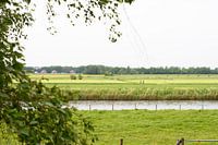 Uitzicht over het water