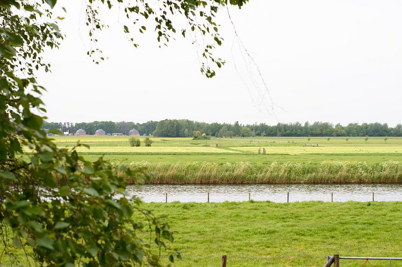 Uitzicht over het water van Ellen Voorn