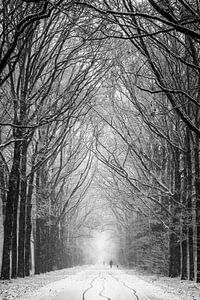 Winter has come