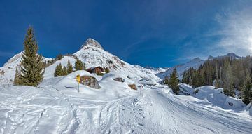 Besneeuwd dal in de Prättigau, Sankt Antönien, Graubünden, Zwitserland van Rene van der Meer