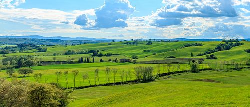 Blue on Green, part III