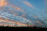 Avond lucht in de Ardennen van Anne Meyer thumbnail