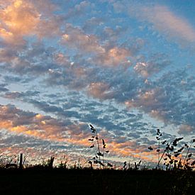 Avond lucht in de Ardennen van Anne Meyer