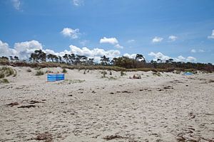 Darß - Weststrand
