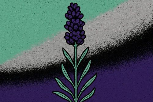 Lavendel met grafische bogen