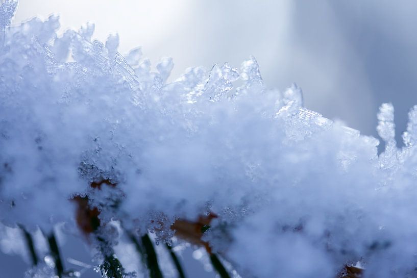 Macrofoto van sneeuw in Drenthe van Karijn | Fine art Natuur en Reis Fotografie