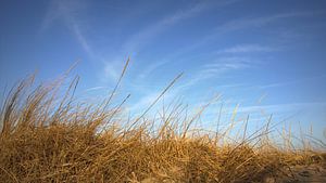 Winterdünen von Ostsee Bilder