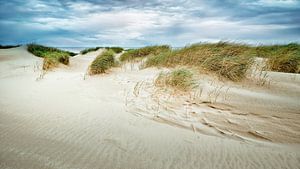 zeereep met zand en duinen langs de kust van eric van der eijk