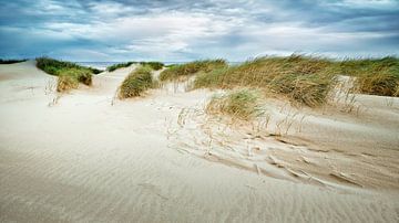 zeereep met zand en duinen langs de kust van eric van der eijk