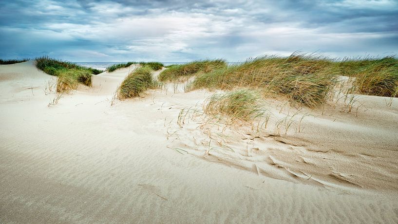 zeereep met zand en duinen langs de kust van eric van der eijk