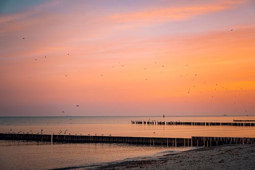 Sonnenaufgang am Strand Gespensterwald Nienhagen an der Ostsee, Ostseeküste, Mecklenburg-Vorpommern, Deutschland