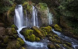 Spring of Bastareny river in Baga, Natural Park of Cadi Moixero, by PhotoCluster