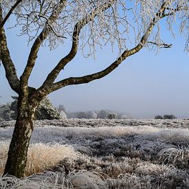 Winterwonderland von Madelief Wesche