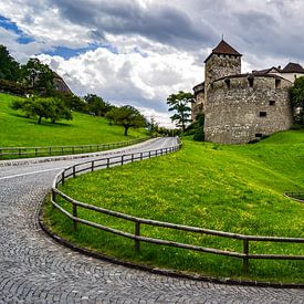 Vaduz, Liechtenstein von Jarne Buttiens