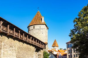 Blick auf die Stadtmauer und Türme in der Altstadt von Tallinn,