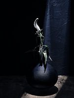 Vase flottant avec une fleur
