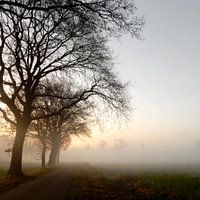 Mistig landschap 