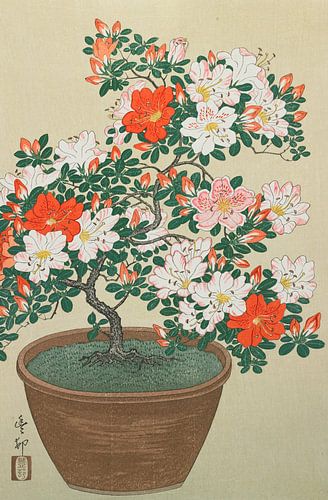 Azalea in Pot, Ohara Koson