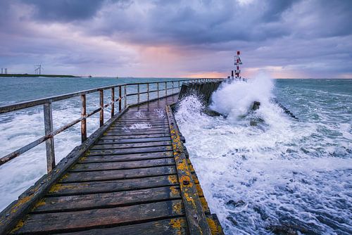 Waar het gedruis der wateren groeit