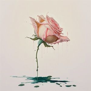 Schmelzende Rose