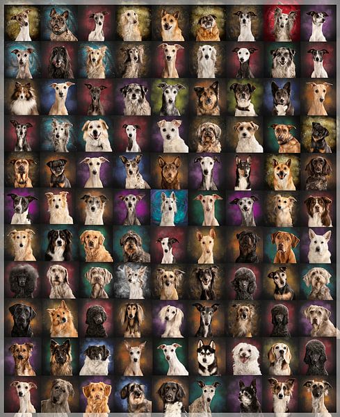 Happy dogs! by Nuelle Flipse