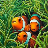 Clownfish