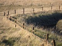 Coastal landscape East Frisia