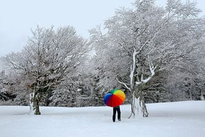 Winteranstrich Schauinsland