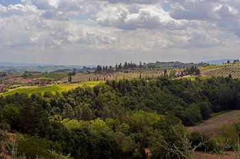 Boerderijen en cipressenlaan - Toscane - Italie