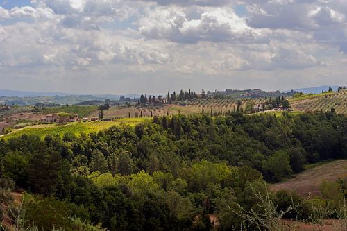 Boerderijen en cipressenlaan - Toscane - Italie