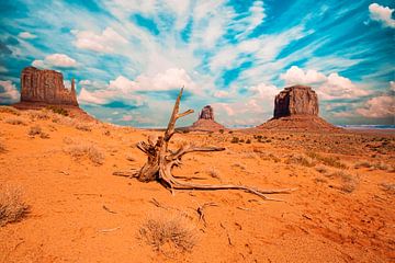 Monument Valley Navajo Tribal Park, Arizona USA van Gert Hilbink