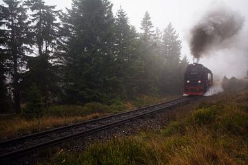 Brockenbahn by Alena Holtz