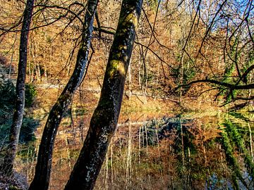 BLAUBEUREN : Waterspiegeling van Michael Nägele