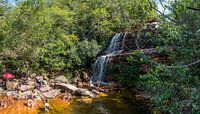 Cachoeirinha waterval en zijn natuurlijk zwembad in Chapada Diamantina van Castro Sanderson thumbnail