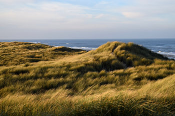 Winters duinlandschap in ochtendlicht op het Waddeneiland Texel