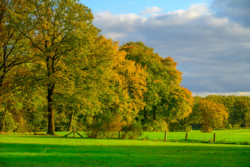 Paysage d'automne à Twente