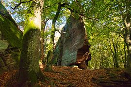 Rock formation in the Vosges by Tanja Voigt