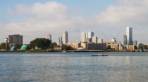 De skyline van Rotterdam met roeiers