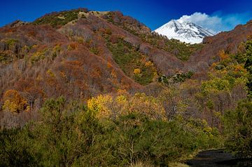 Kleurrijk herfstbos ontmoet winterse vulkaantop van images4nature by Eckart Mayer Photography