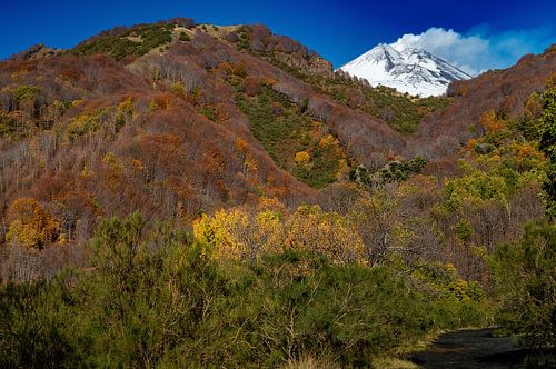 Bunter Herbstwald trifft winterlichen Vulkan-Gipfel