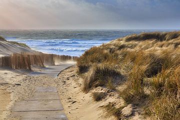 Dutch dune landscape with storm by eric van der eijk