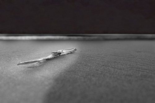 Minimalisme sur la plage aux Pays-Bas sur Erik de Rijk