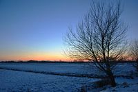 Sibirische Ebene im Polder