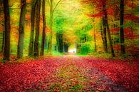 herfstkleuren in het bos van eric van der eijk thumbnail